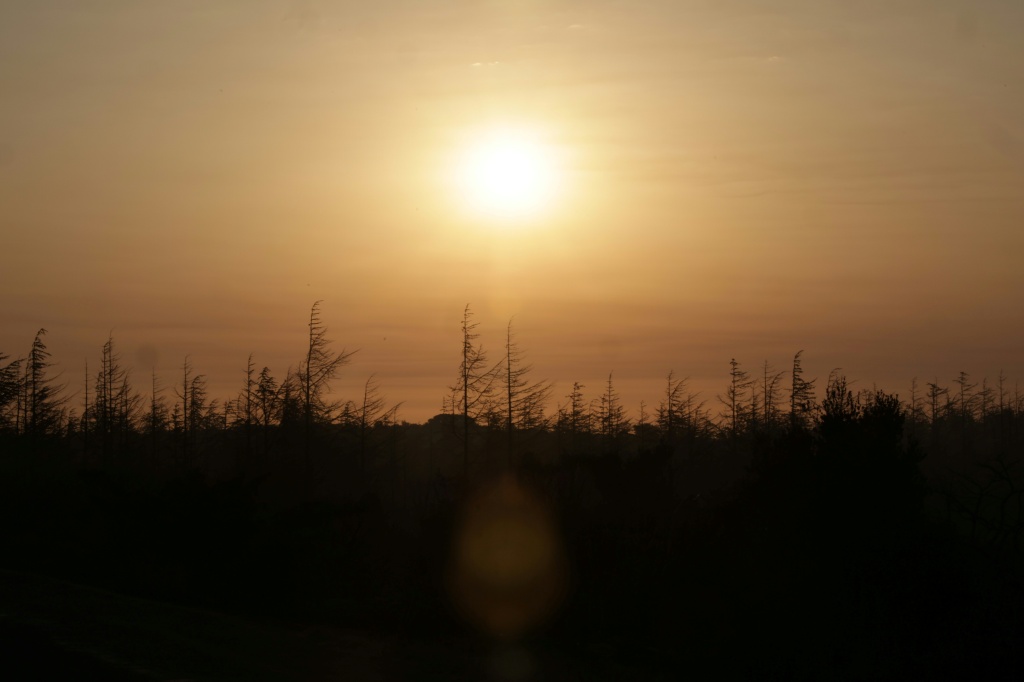 UN climate panel head wants swift end to deadlock over key scientific report