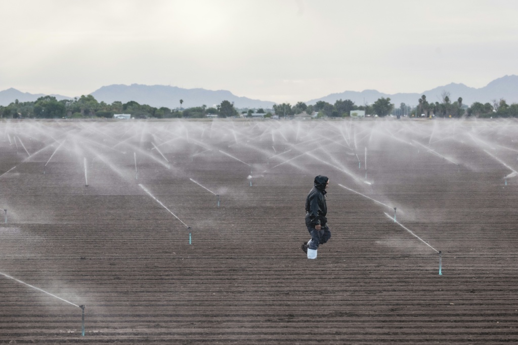 The Arizona town of Somerton is surrounded by fields — Olivier Touron / AFP