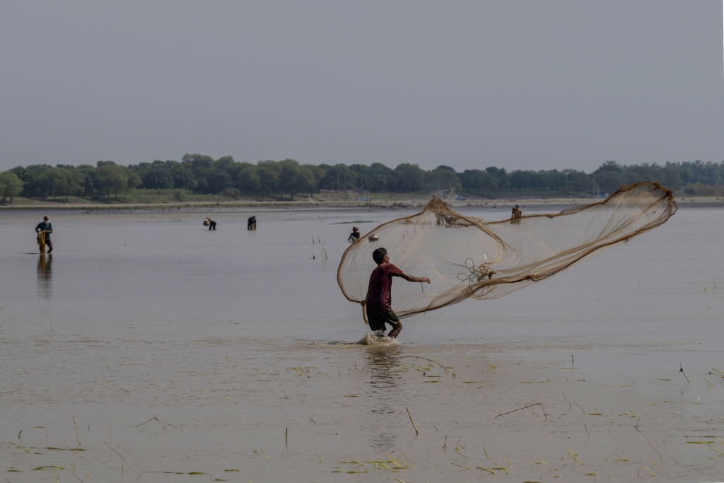 Aa fisherman casts his net along the Padma river at Ramnathpur village, near the Bangladesh-India frontier — Salahuddin Ahmed / AFP
