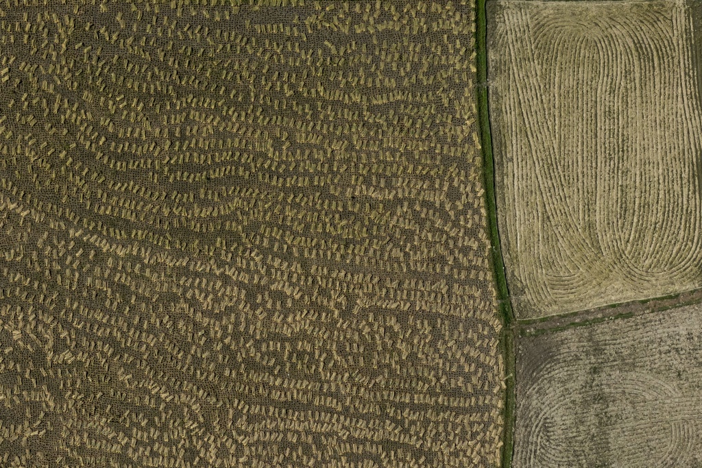 Agricultural fields at Barind region in Godagari, a drought prone area near the Bangladesh-India frontier in Bangladesh's Rajshahi division — Salahuddin Ahmed / AFP