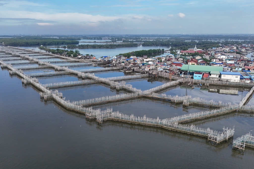 Bamboo sediment traps designed to slow water flow next to houses at Pamarawan Island in Malolos City, Bulacan province — Ted ALJIBE / AFP