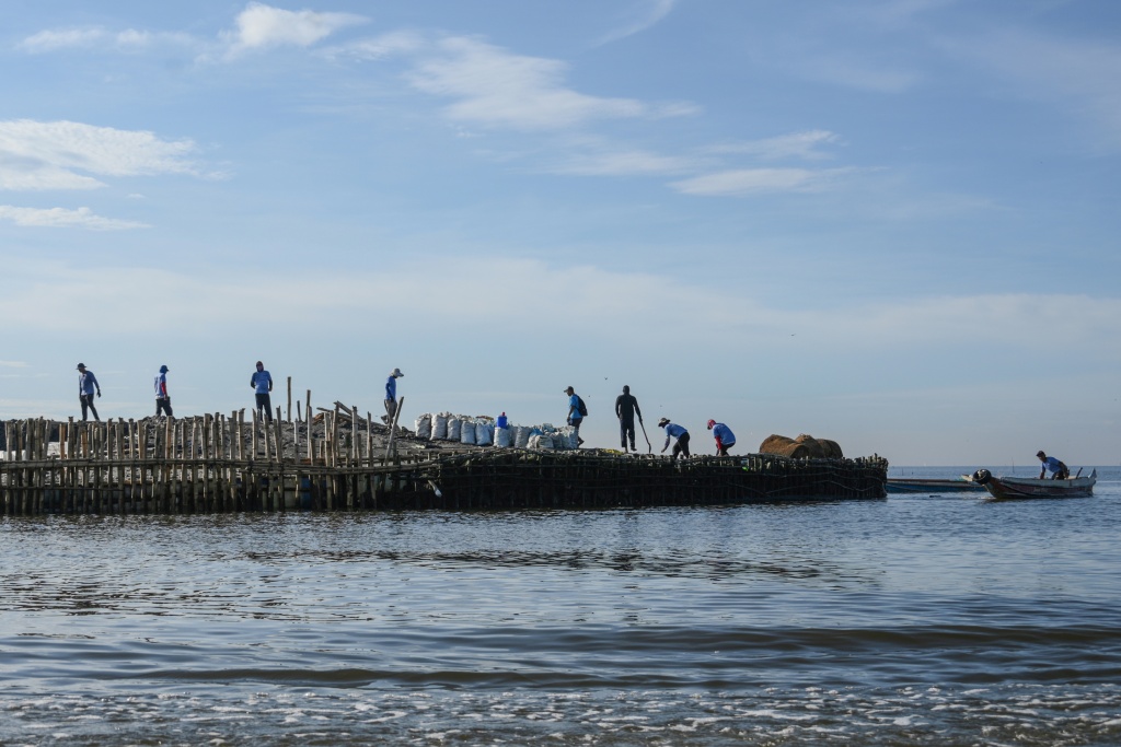 In this photo taken on October 13, 2026, workers lay coconut-fibre nets next to bags of oyster shells on a breakwater at Pamarawan Island in Malolos City, Bulacan province. Burdened by strong storm surges, land subsidence and rising seas exacerbated by climate change, the 3,000 residents of tiny Pamarawan Island have turned to bamboo poles and discarded oyster shells to build a barrier aimed at weakening waves and managing floods. — Ted ALJIBE / AFP
