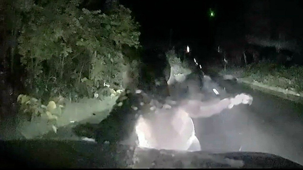 Dashcam footage captures bear slamming body against car in Japan