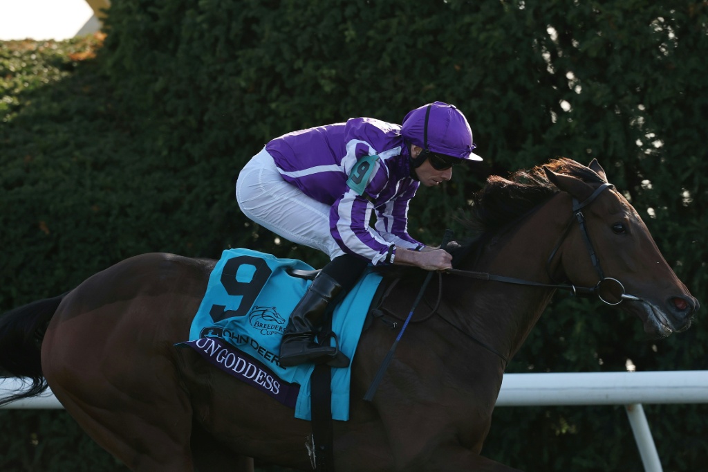 Sun Goddess wins at Breeders' Cup, O'Brien leads Baffert