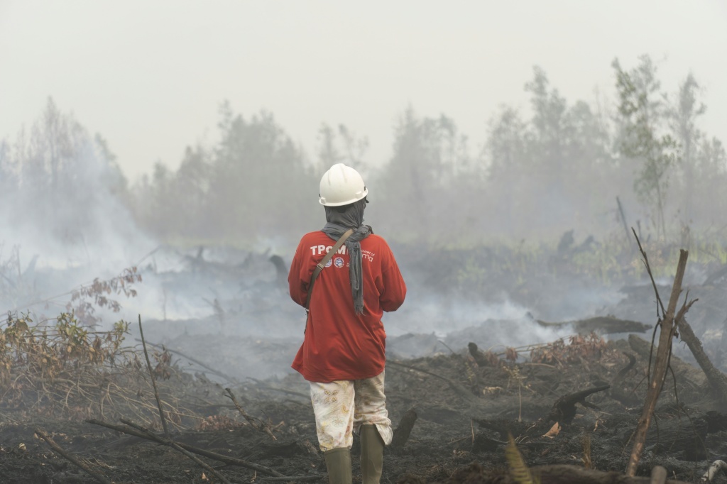 A volunteer firefighter looks at smouldering peatland in Benipis, Ketapang Regency, West Kalimantan — HERIBERTUS / AFP