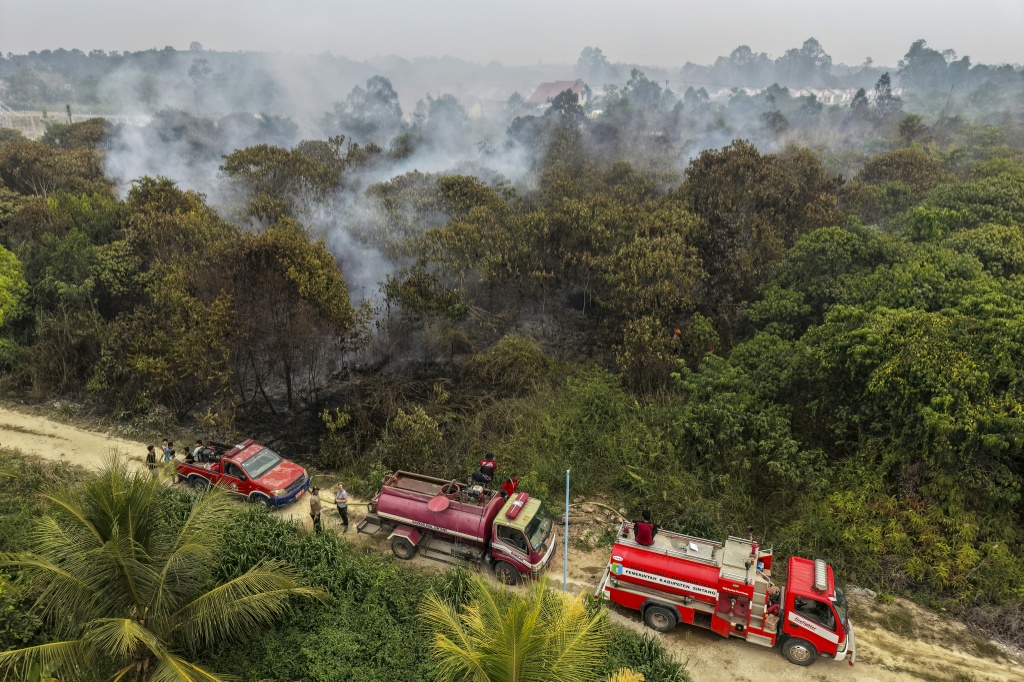 Indonesia has the world's biggest share of tropical peatland, about a third of the global total — BAY ISMOYO / AFP