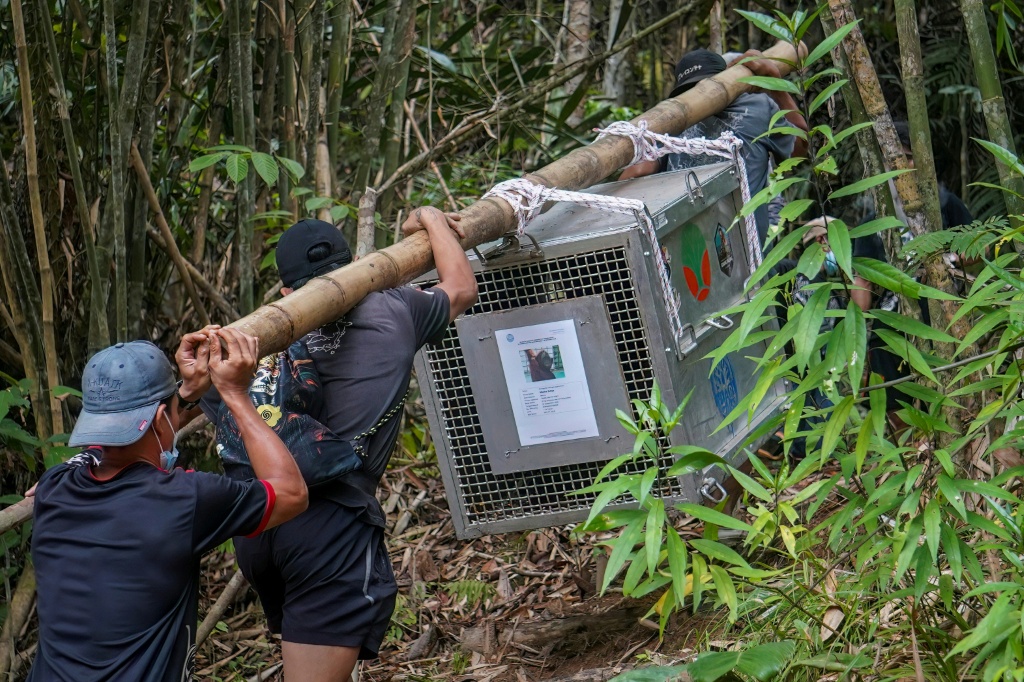 The journey was a long and arduous one — Ilham Pratama / AFP