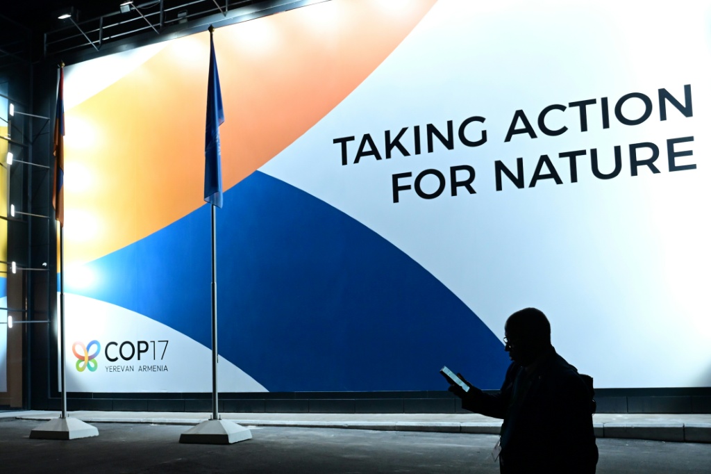 Nations accused of undermining science at UN nature talks