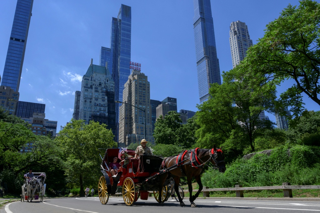 New York votes to ban Central Park horse carriages after decades of debate