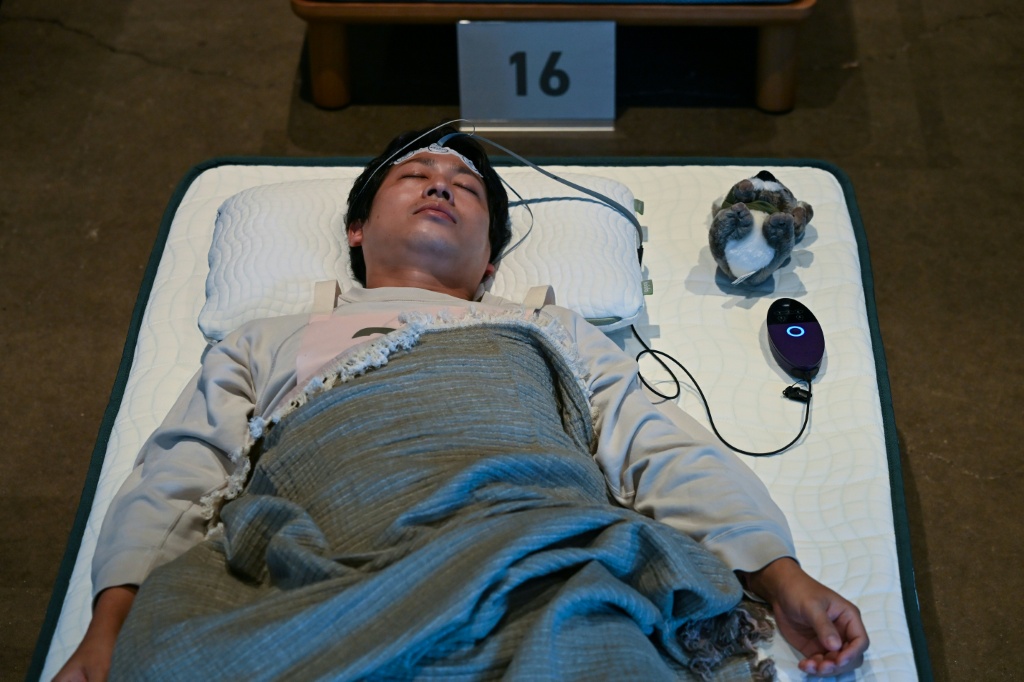 Inside a dimly lit room, participants slept with monitors attached to their heads, some cradling stuffed toys in their beds — Selim CHTAYTI / AFP