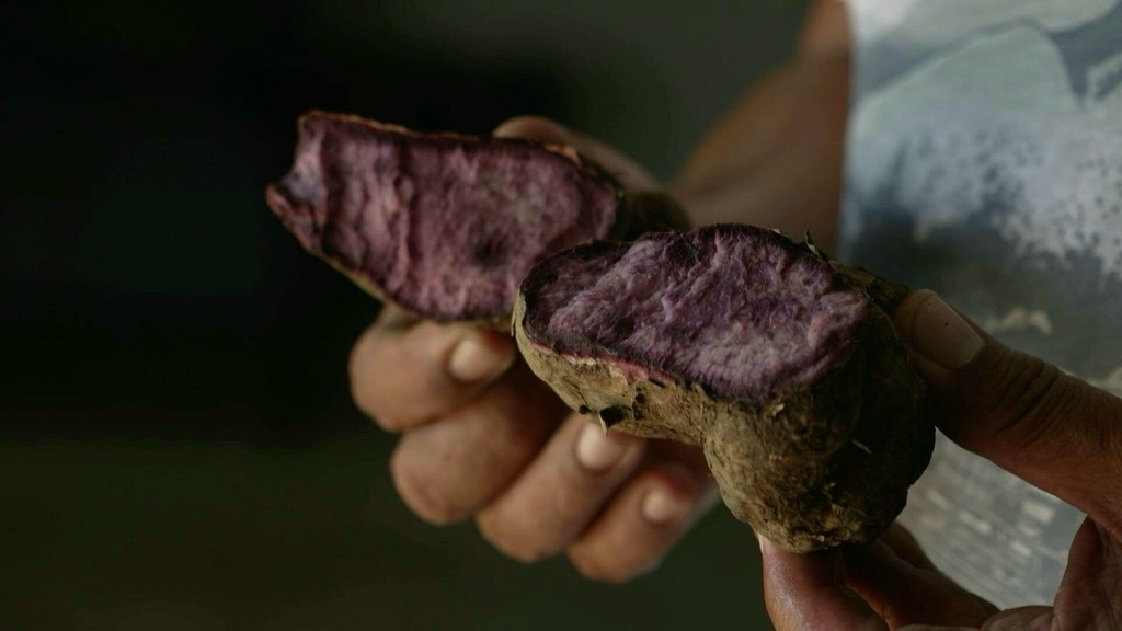 Fact File Project Purple reign: Philippines seeks to keep grip on ube throne | AFP.com