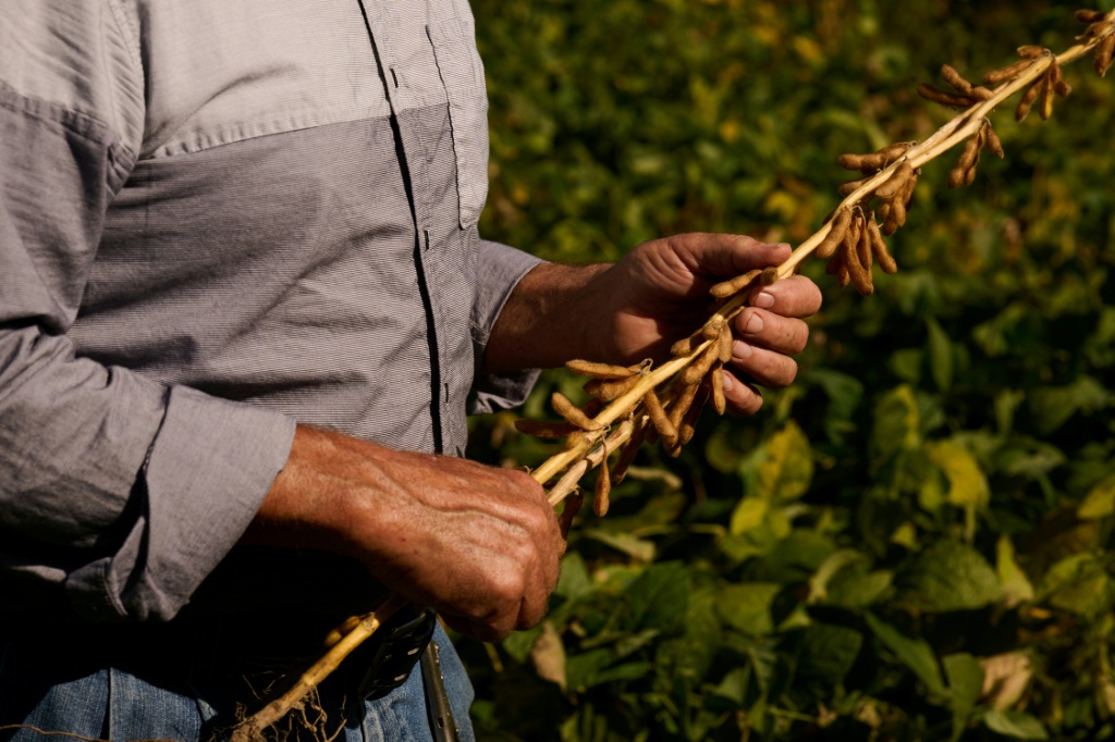 Joe Logan, 77, says most farmers have been living off thin profits — DUSTIN FRANZ / AFP