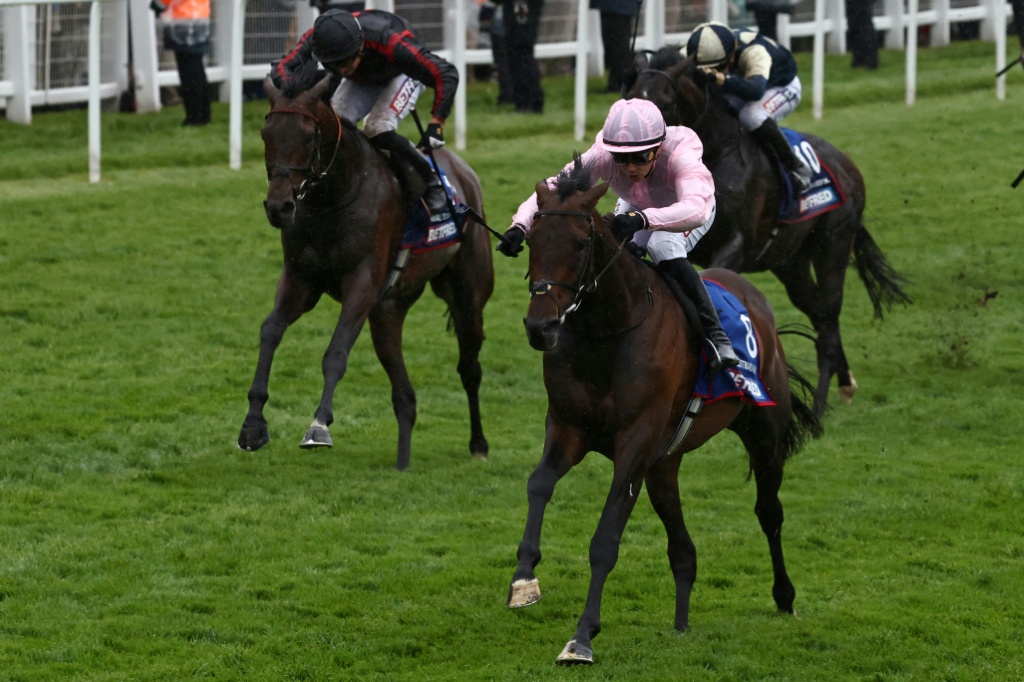 Maltese Cross (L) finished second in the Epsom Derby but has improved with every race since then says his trainer William Haggas — Henry NICHOLLS / AFP