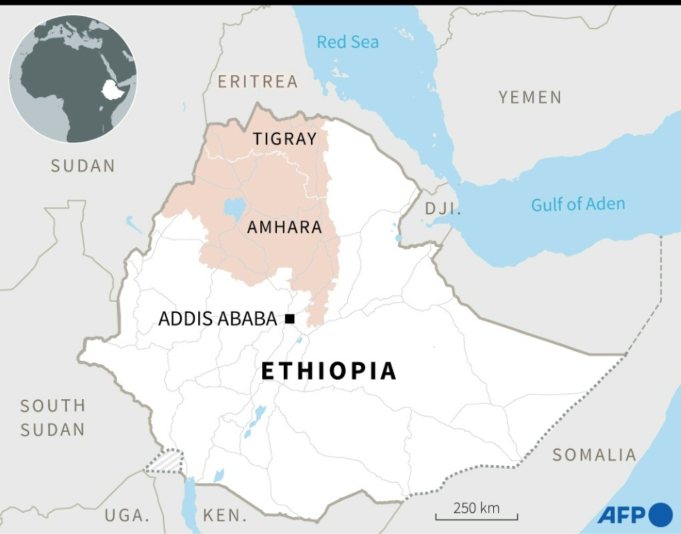 Ethiopia's conflict: the regional dimension
