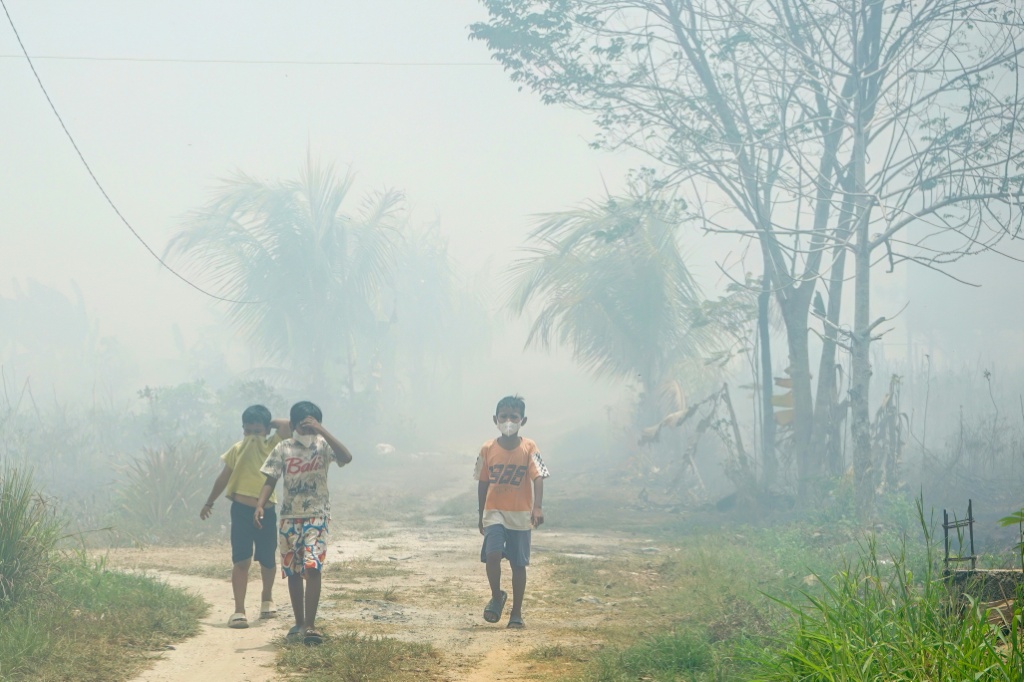 Civil society groups have accused companies of responsibility for Indonesia's fires — MUDA SAGALA / AFP