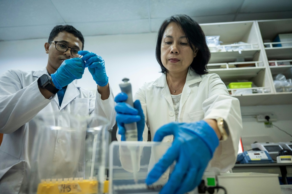 Genetic research on turtles is helping law enforcement and conservation — SAI AUNG MAIN / AFP