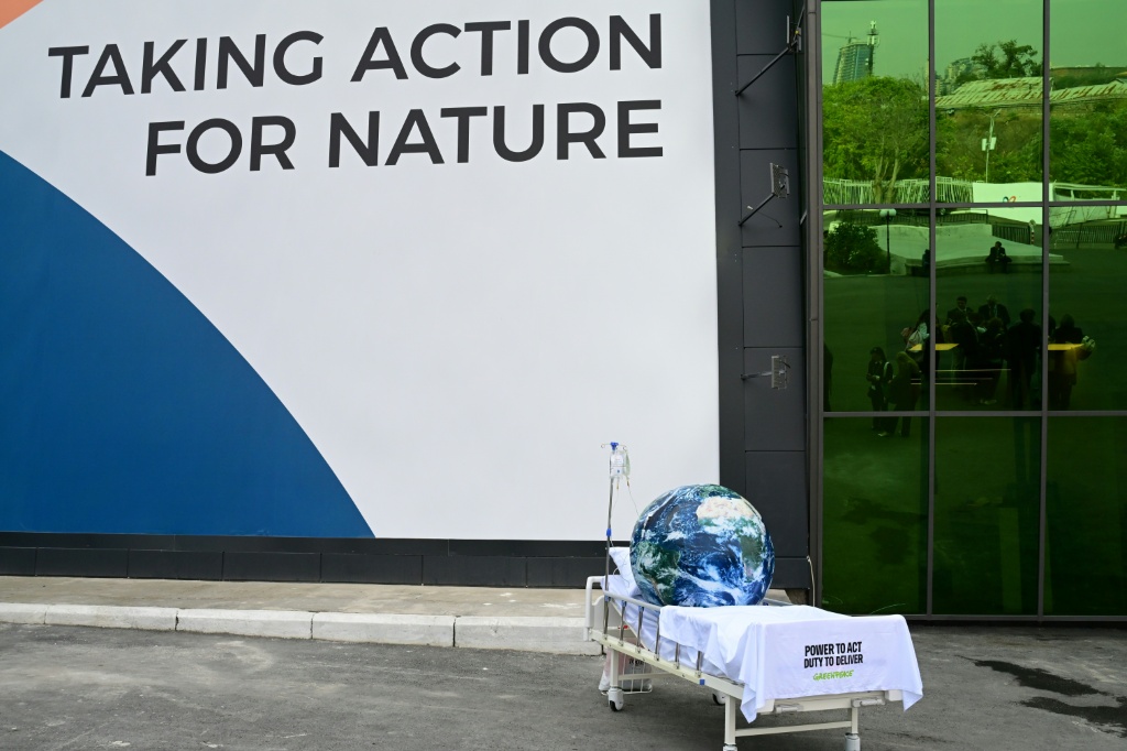Nations struggle for deal as UN nature talks go down to the wire