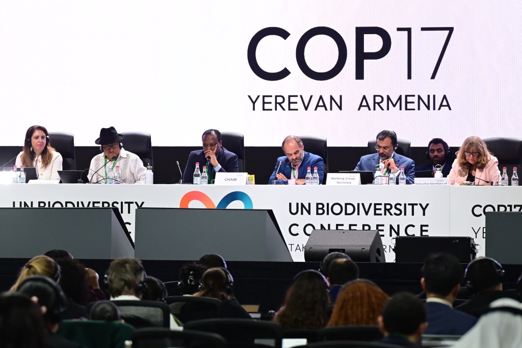Delegates cheered as the crucial texts were approved in overtime — Karen MINASYAN / AFP