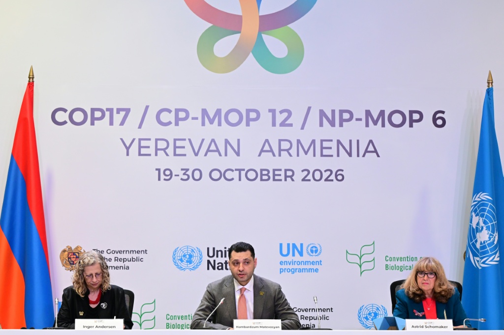 Nations far from a deal as UN nature talks enter final stretch