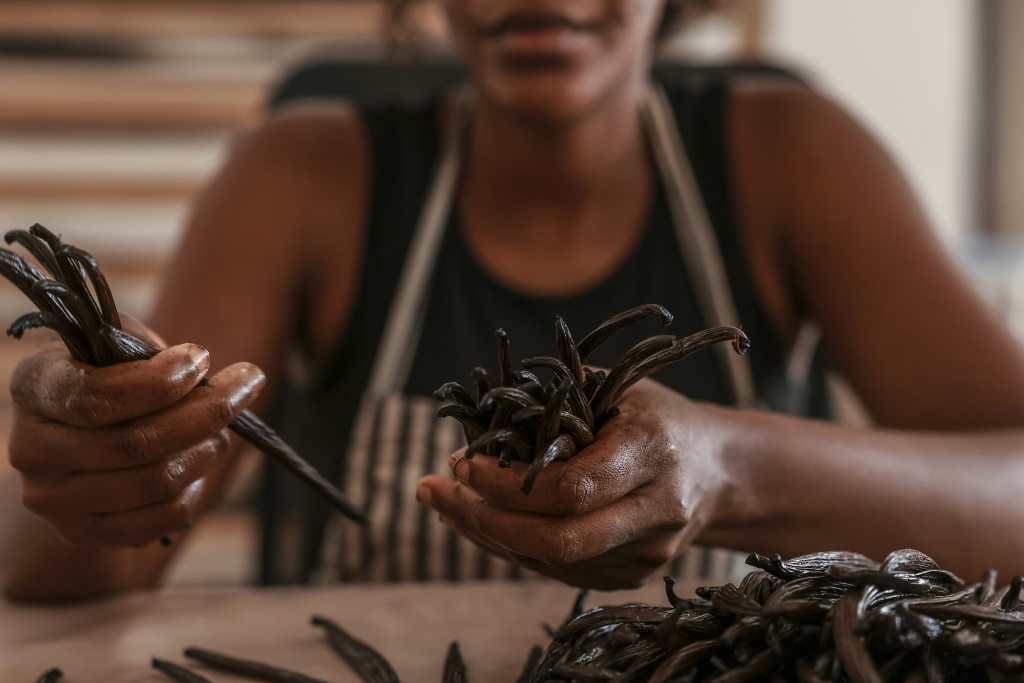 Vanilla is the second most expensive spice after saffron — Daniel BELOUMOU OLOMO / AFP