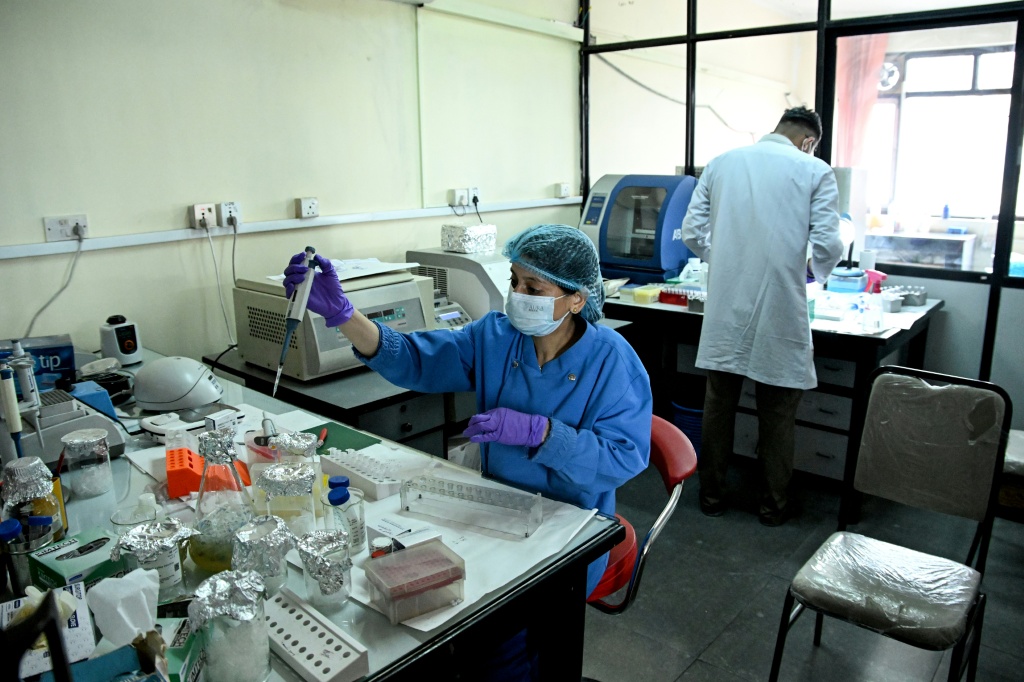 Nepali experts are working to profile DNA samples and build a database on a scale they have never handled before — Prakash MATHEMA / AFP