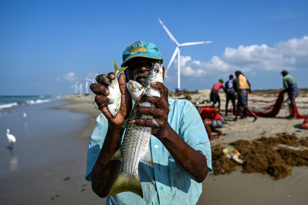 Fisherman complain of dwindling catches and smaller fish, which they believe is linked to the turbines — Ishara S. KODIKARA / AFP