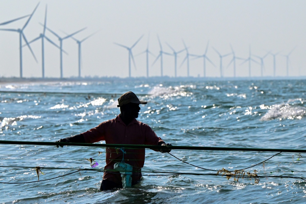 The government aims to generate 70 percent of the country's electricity from renewable sources by 2030, including wind power. But it has frozen new projects in Mannar to ease local opposition — Ishara S. KODIKARA / AFP