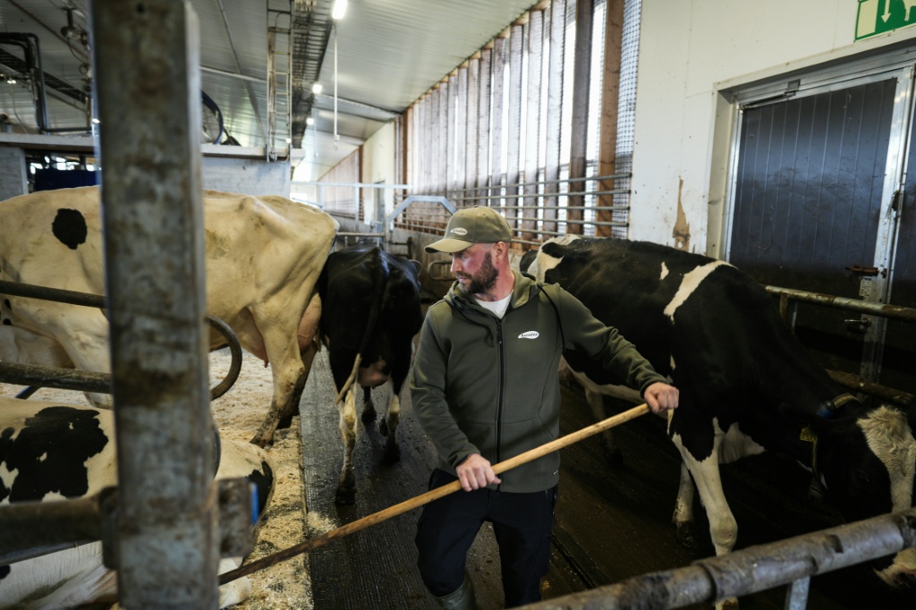 'The project is so massive that it's basically hard to really grasp,' said local farmer Joni Pitkanen — Alessandro RAMPAZZO / AFP
