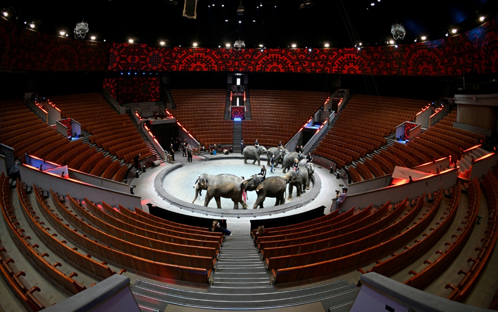 Russian MPs rejected a move to ban animal circuses, noting their economic interest — Alexander NEMENOV / AFP