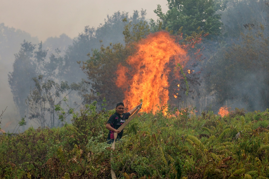 Monitor says Indonesia fires have burned nearly two million hectares