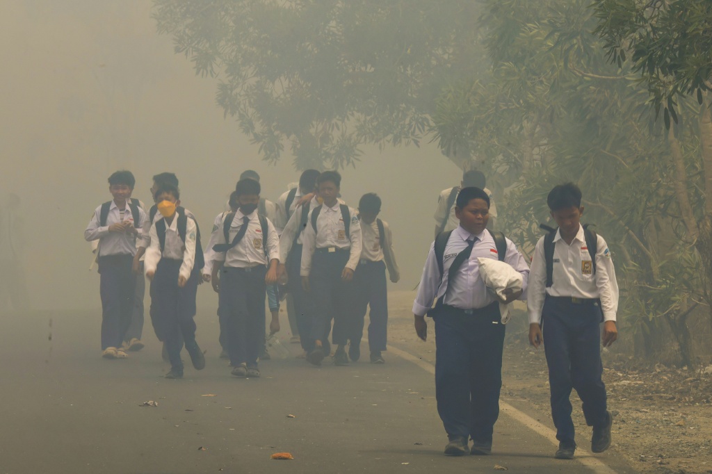 Indonesia experiences fires every dry season, but this year's blazes have been particularly severe, partly due to a particularly severe episode of the El Nino weather phenomenon — MUDA SAGALA / AFP