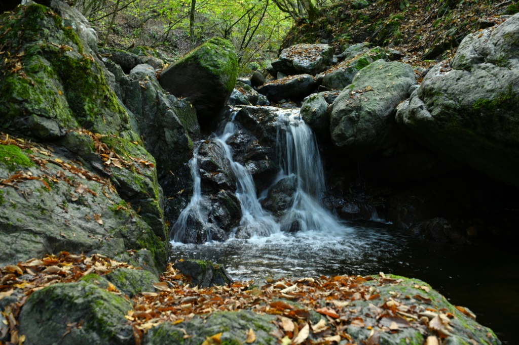 Armenia has highlighted the issue as it hosts the UN's COP17 biodiversity summit in Yerevan — STRINGER / AFP