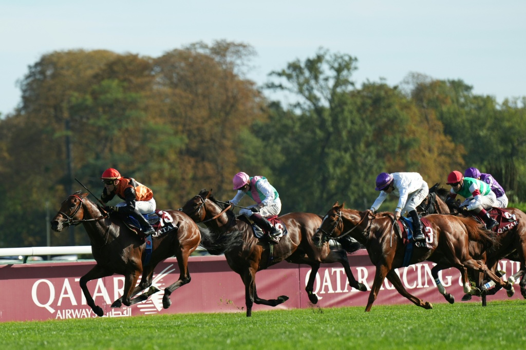 Ace Impact (L) was Jean-Claude Rouget's second Prix de l'Arc de Triomphe winner — Dimitar DILKOFF / AFP
