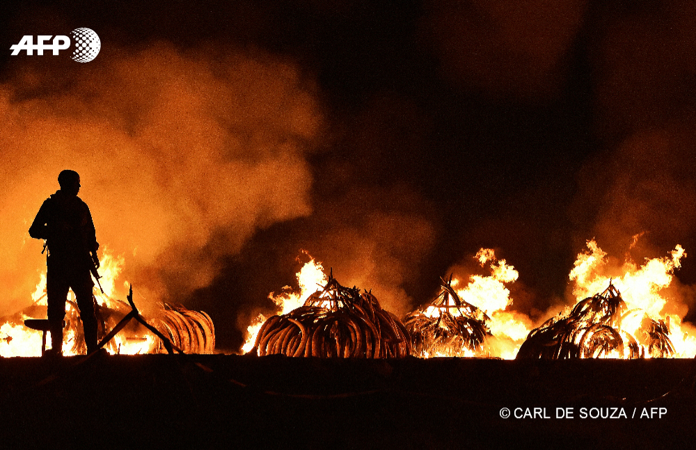 © AFP PHOTO / CARL DE SOUZA