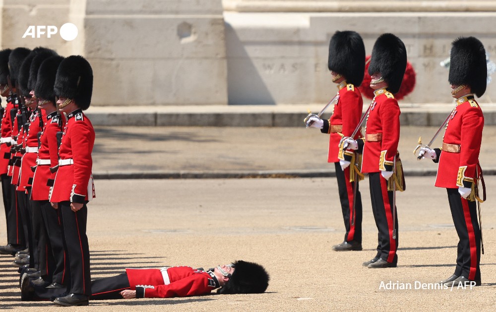 A member of the Grenadier Guards faints during the Colonel's Review at Horse Guards Parade