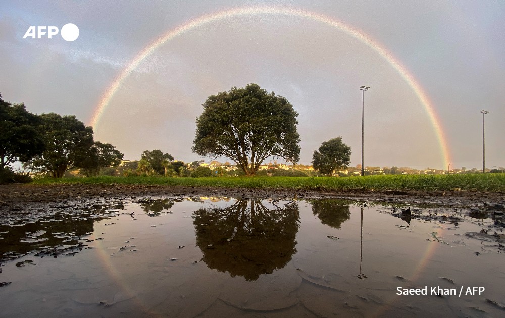 Topshots of the Week (12-18 August, 2023) | AFP.com