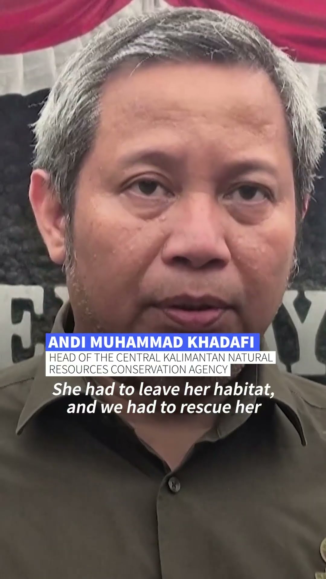 Orangutans rescued in Indonesia fires | AFP