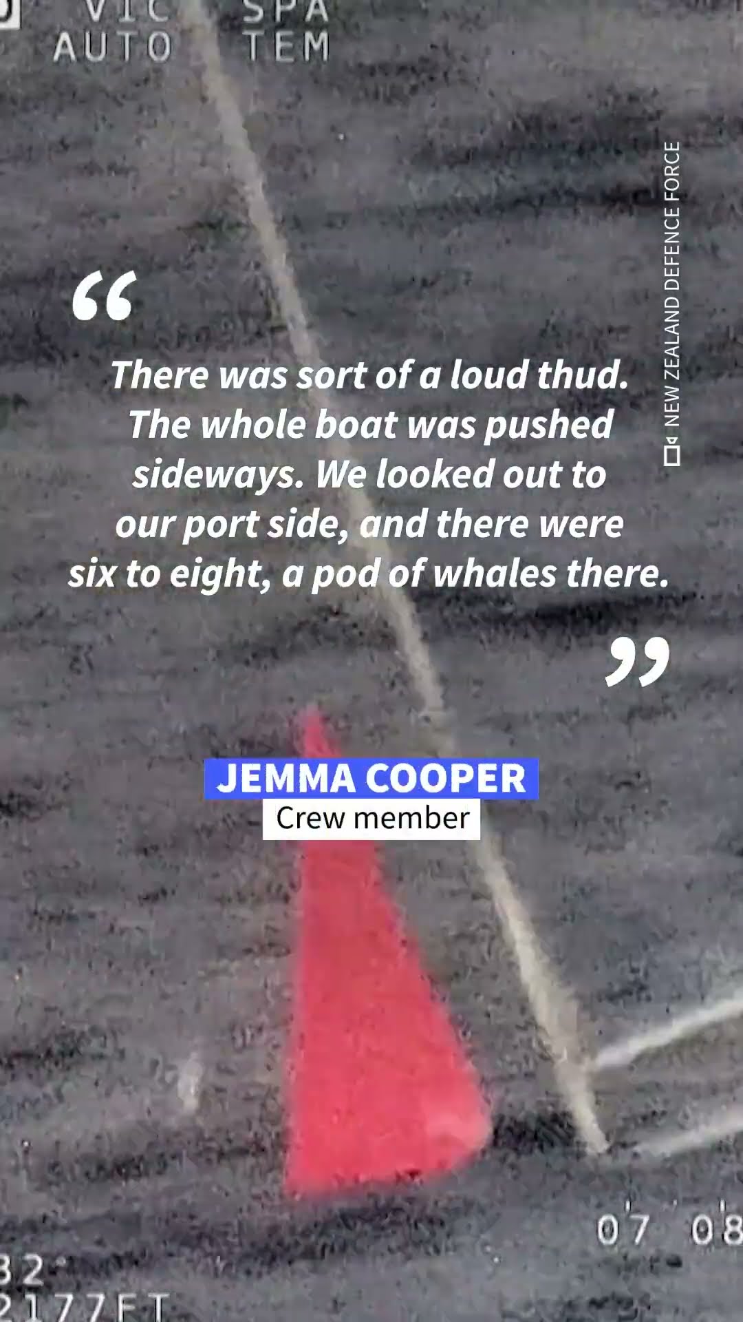 Crew rescued after sperm whale sinks yacht in South Pacific | AFP