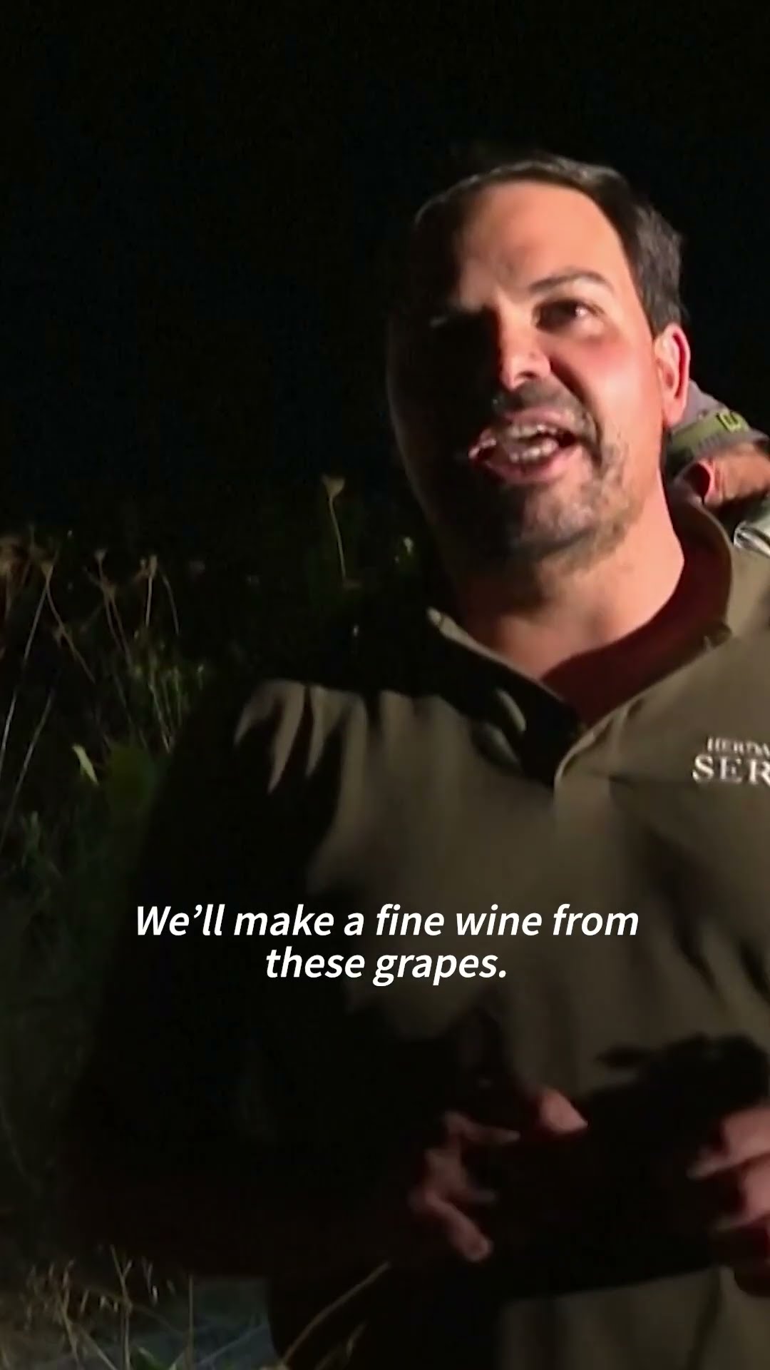 Portuguese workers pick grapes at night to avoid heat | AFP