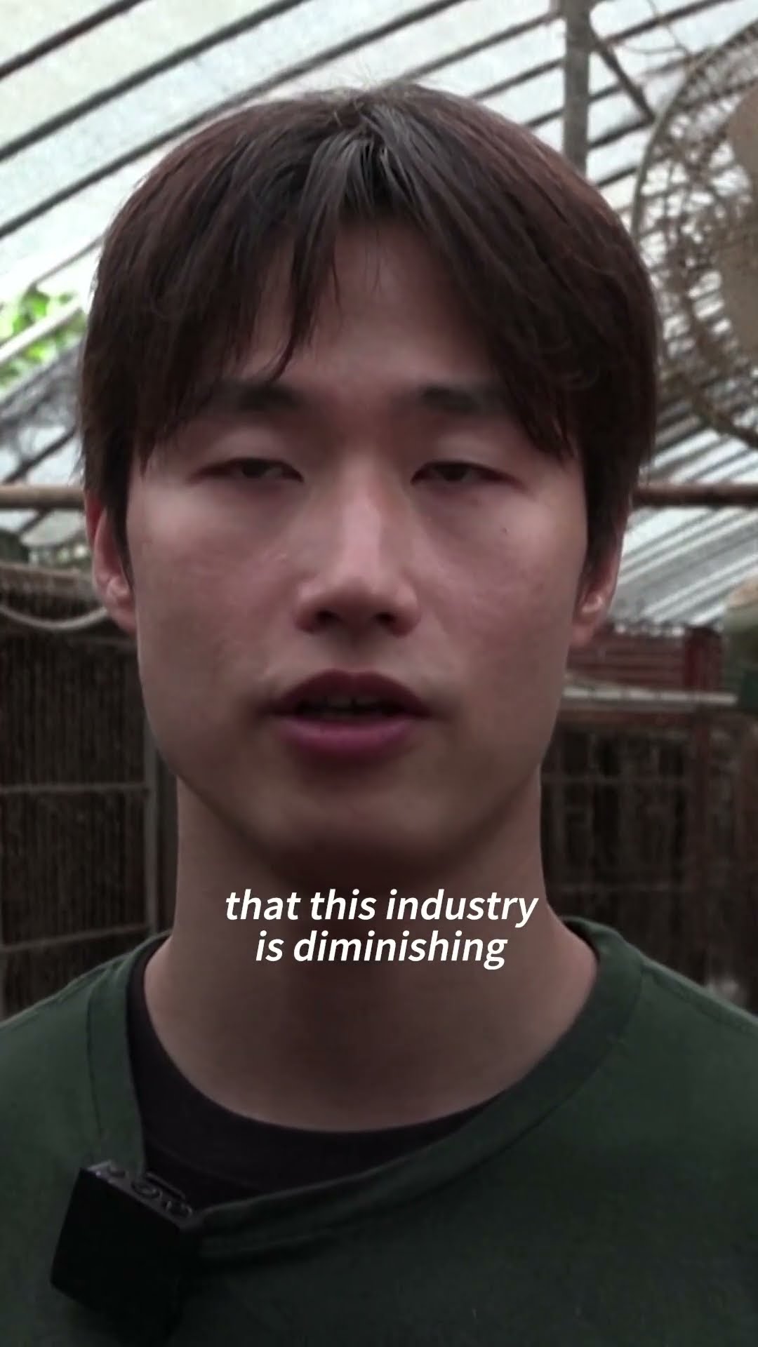 Dogs rescued from meat farm before South Korea ban | AFP