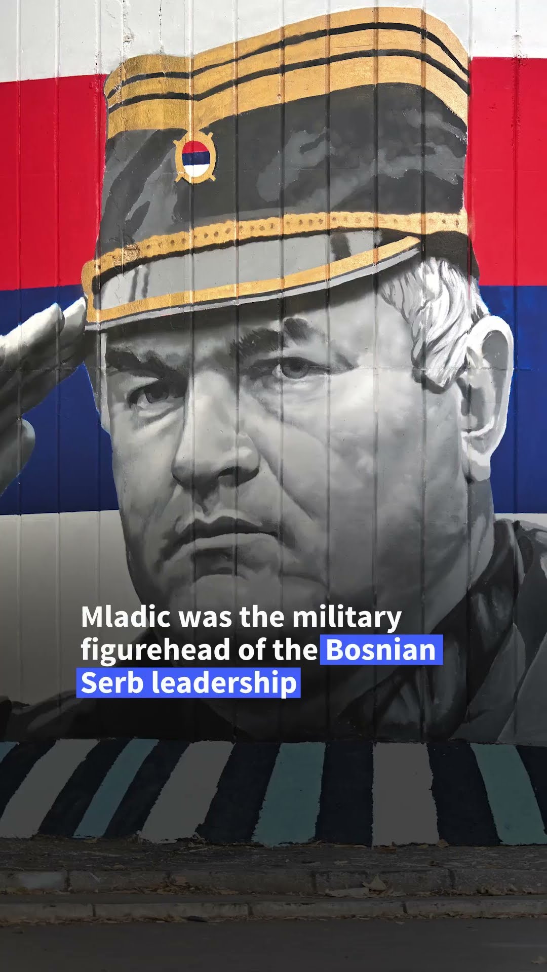 Thousands attend Bosnian Serb war criminal's funeral in Belgrade | AFP