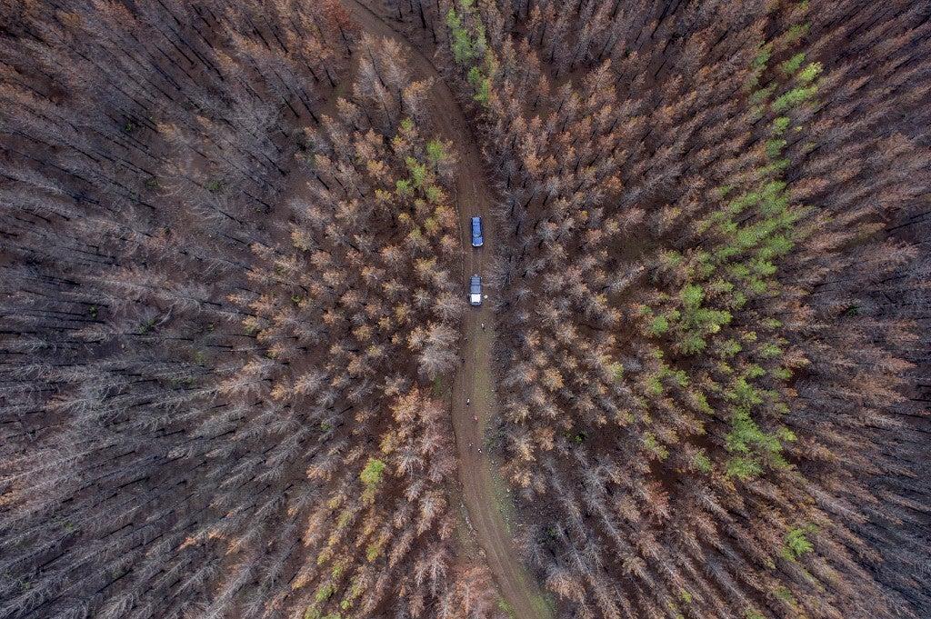 Vista aérea de uma área florestal destruída por um incêndio de grandes proporções cerca de 350 quilômetros ao sul de Santiago, em 23 de junho de 2017. Martin BERNETTI / AFP