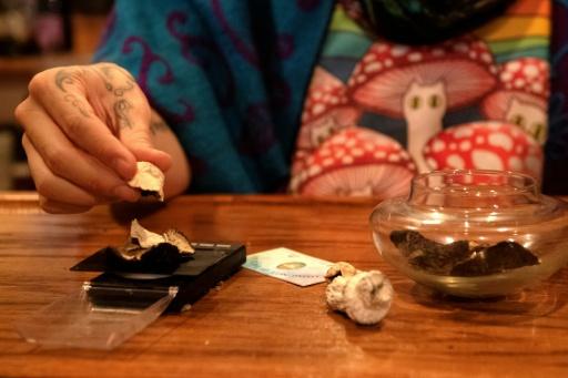 ¿Y si los psicodélicos ayudaran a combatir los efectos nocivos de la quimioterapia?