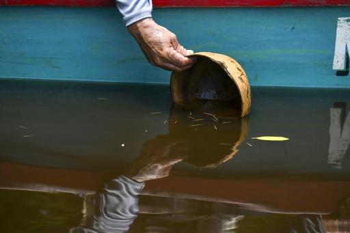 Guatemala ensures survival of vulnerable 'fossil' fish