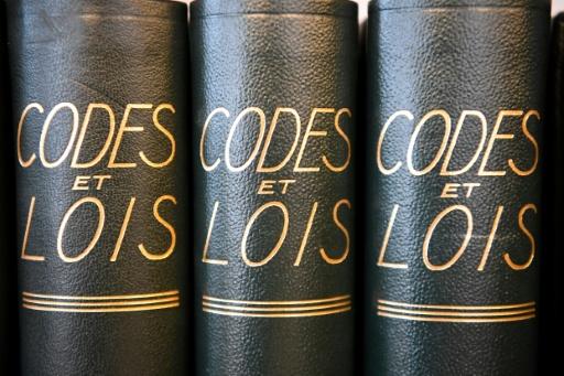 Parmi les mesures phares de cette proposition de loi: la détection précoce des victimes, la mise en place de juridictions spécialisées, le renforcement des actes d'enquêtes ou encore la reconnaissance de l'inceste comme un crime à part entière — Damien MEYER / AFP