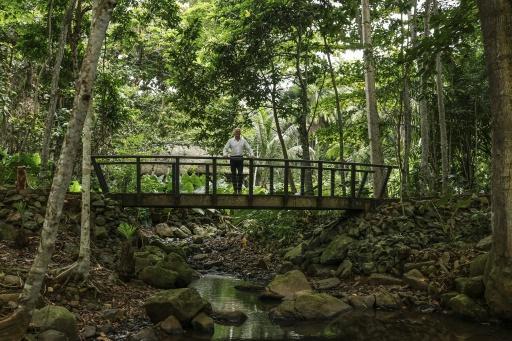 Cash for nature protection: hotelier's offer to Principe islanders
