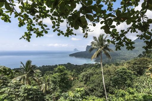 Locals on the island of Principe are paid a financial dividend to preserve its natural beauty — Daniel BELOUMOU OLOMO / AFP