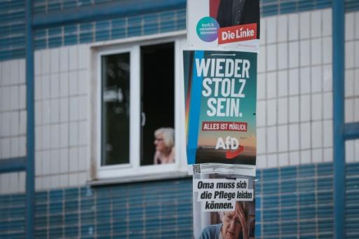 "Volver a sentirnos orgullosos", reza un cartel electoral de la AfD — Ronny HARTMANN / AFP