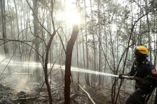 Some 250 firefighters and residents were fighting the blaze after it began in a nearby forest — LUIS LIZARAZO / AFP
