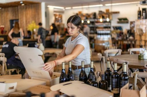 Un trabajador coloca botellas de vino en cajas en una bodega de la colonia israelí de Shaar Binyamin, en Cisjordania ocupada — Ilia YEFIMOVICH / AFP